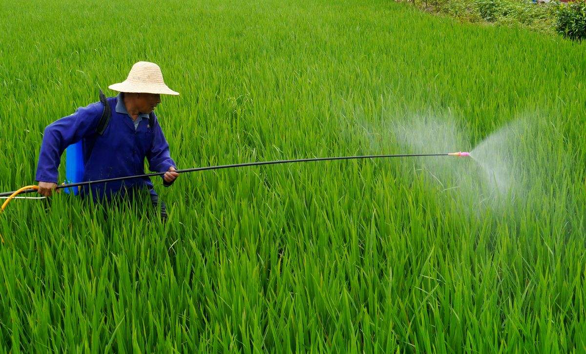 五月天伊人久久久久植保无人机为现代农业助力